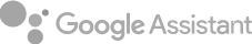 Google Assistant